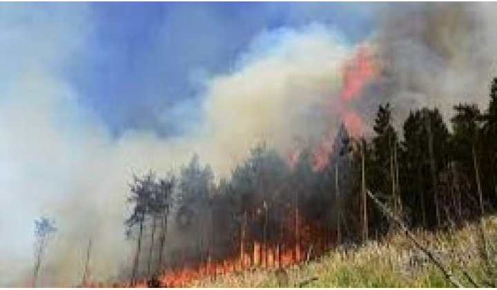 Opatrenia na zabezpečenie ochrany lesov pre požiarmi v roku 2023
