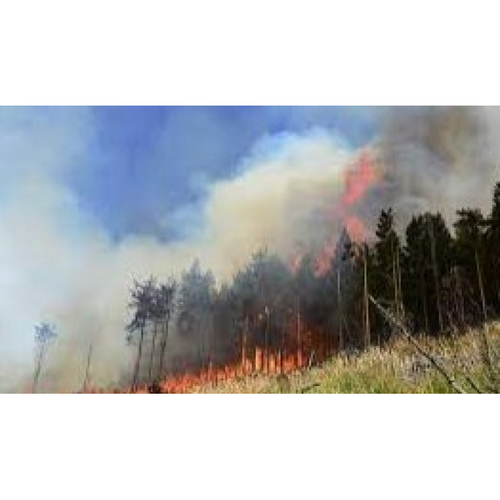 Opatrenia na zabezpečenie ochrany lesov pre požiarmi v roku 2023